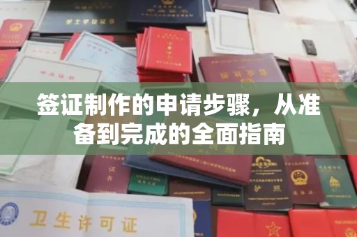 洮北签证制作的申请步骤，从准备到完成的全面指南